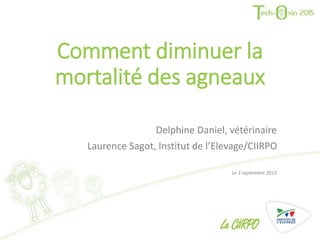 Comment diminuer la
mortalité des agneaux
Delphine Daniel, vétérinaire
Laurence Sagot, Institut de l’Elevage/CIIRPO
Le 3 septembre 2015
 