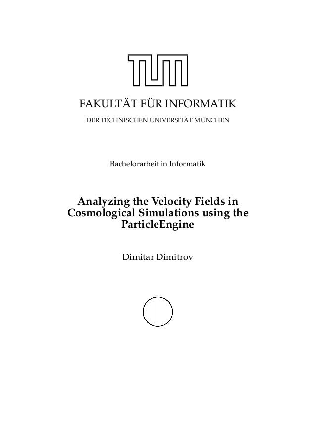 Bachelor Thesis .pdf (2010)