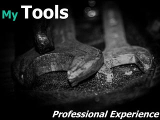 My Tools
Professional Experience
 