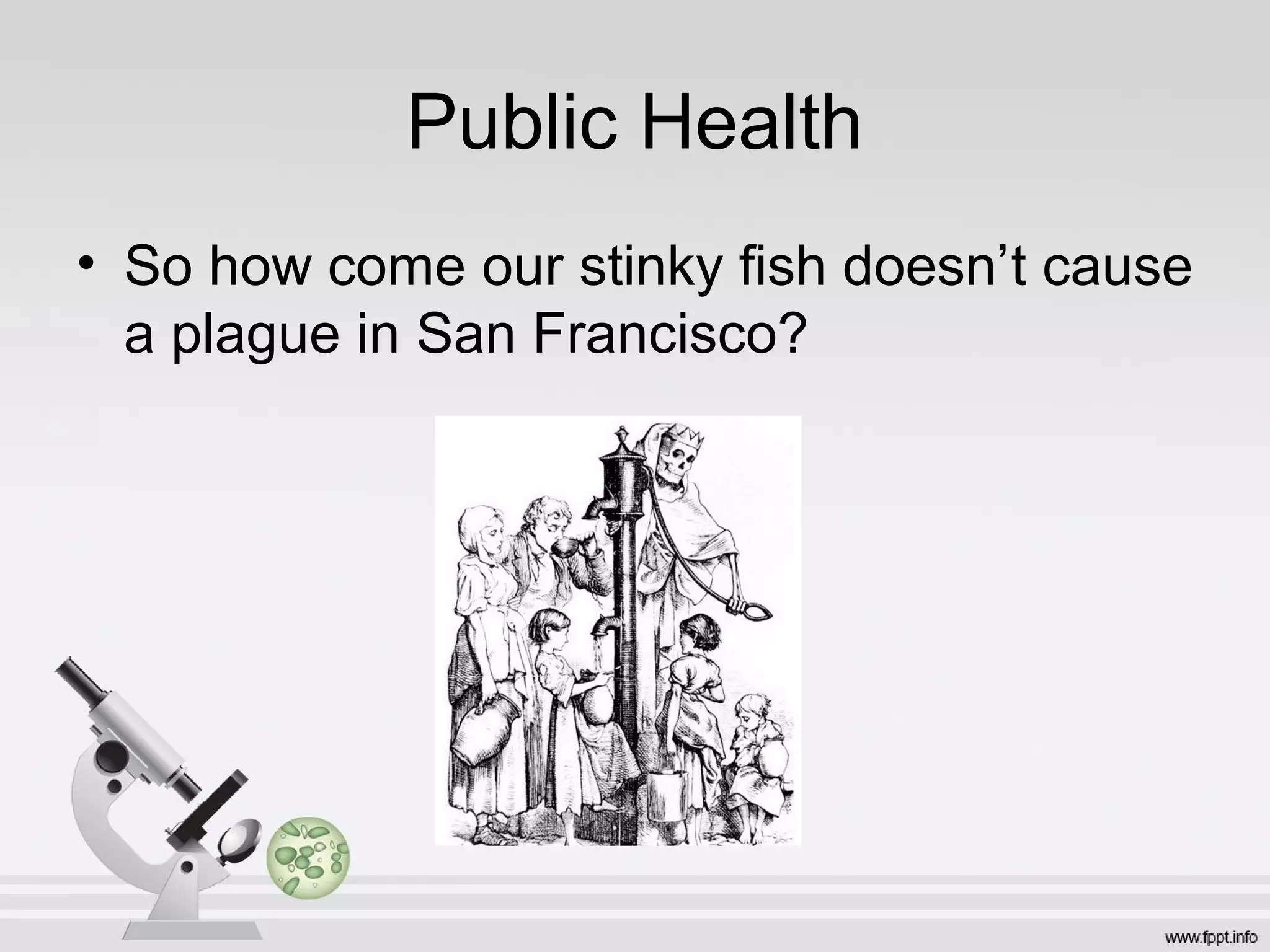 Public Health
• So how come our stinky fish doesn’t cause
  a plague in San Francisco?
 