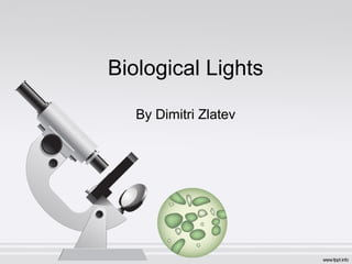 Biological Lights

   By Dimitri Zlatev
 