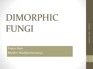 DIMORPHIC
FUNGI
Prabin Shah
BScMLT, MSc(Biochemistry)
6/20/2015DIMORPHICFUNGI
1
 