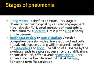  Congestion: In the first 24 hours:This stage is
characterized histological by vascular engorgement,
intra- alveolar fluid, small numbers of neutrophils,
often numerous bacteria. Grossly, the lung is heavy
and hyperemic.
 Red hepatization or consolidation:Vascular
congestion persists, with extravasations of red cells
into alveolar spaces, along with increased numbers
of neutrophils and fibrin.The filling of airspaces by the
exudates leads to a gross appearance of solidification,
or consolidation, of the alveolar parenchyma.This
appearance has been likened to that of the liver,
hence the term "hepatization
 