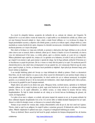 e-bibliomax http://www.bibliomax.tk/ mailto:bibliomax@libero.it
43
CALUL
S-a trezit în câmpiile întinse, acoperite de ierburile de se, culcate de vânturi, ale Ungariei. În
mijlocul lor s-a i nut cât va vreme de mama lui, o iap oarb ce sta r zle it de ceilal i cai, dintre care
cei mai frumo i fuseser mânjii ei. Apoi, când a sim it fiorul s lbatec ce i se rev rsase în sânge, în
largul pustiet ilor acestea, a deprins cele dintâi goane, -acolo i-a ridicat capul, a l rgit n rile i, cutre
murându- i coama încâlcit de spini, r spunse la chem ri necunoscute, trimi ând dep rt rilor cel dintâi
nechezat puternic ce-i ie ise din piept.
Dar când se înv ase cu via a asta slobod , se pomeni o dat prins din fug , înfrânat cu de-a sila de
c tre cineva care se arunc , dintr-o s ritur , c lare pe el. Atunci a în eles c ceva îl amenin , c cineva
vrea s -i rmureasc li ber tatea, s-a strâns ghem, apoi s-a destins repede, i a por nit ca o s geat .
Mânca p mântul supt copitele lui, sim ea c i se aprinde ceva în untru, c ochii îi ard i c limba îl fri-
ge; trupul îi era numai o ap , gura numai o spum de sânge. Iar în fuga nebun , ierburile îl biciuiau i i
se încol ceau ca erpii de picioare. De la o vreme se sim i sleit de puteri i se opri. Un nechezat parc îl
chem dincotrova; dar când v zu c du manul e tot pe spatele lui, c -i smunce te frâul tot a a de crunt,
puse capul în piept, i, învins, se întoarse încet purtându- i st pânul. Apoi plec pe drumuri lungi, prin
locuri str ine i dep rtate.
L-au nec jit îndelung pân s -l înve e cu via a înfrânat de z bal i pinten. Când s-a dezmeticit
bine-bine, era de mult deprins cu aua i tia chiar ceasul de diminea la care pornea înspre câmp ca
s - i poarte c l re ul, prin fa a regimentului, în v zul sutelor de cai ce st teau nemi ca i, la strig tul
goarnei, ca i oamenii de pe ei. i nu mai putea de mul umire, când, dup alerg rile prin vânt i ploaie,
se în torcea în grajdul în care îl a tepta nutre ul.
Dup câ iva ani porni la un drum mai greu. Mergeau feri i, ocolind mereu, oprindu-se la bubuitul
tunului; st teau zile i nop i în ploaie i glod, supt cerul înc rcat de norii de i, ce atârnau pân lâng
p mânt. Într-o zi, în capul c l re ilor, cu s biile scoase, se sim i mânat la moarte într-un vârtej
însp imânt tor. În fa le r s ri deodat un alt vârtej i se lovir într-un înv lm ag de glasuri, de
vaiete, de împu c turi.
I se p ru c nu mai e sc pare, se avânt , s ri peste trupuri de oameni i cai, i, în goana nebun , î i
duse c l re ul departe desp r indu-l de ai lui. Un zid de s bii se în l deodat împrejurul lui i-l opri.
Atunci se ridic în dou pi cioare, se întoarse i se arunc orbi înapoi.
Sim ea c pe urmele lui veneau al ii, sim ea zbucium rile celui de pe el, dar nici unul nu-l ajunse.
Târziu, când se opri la un ad post, în crup îl ardea o usturime grozav . O t ietur de sabie îl crestase
adânc. Mânile st pânului îi sp lar rana u or, o legar i-l mângâiar îndelung pe coam .
Trecu i r zboiul. Întors acas î i lu locul în grajd, mul umit de lini tea dimprejurul lui, de lumina
 