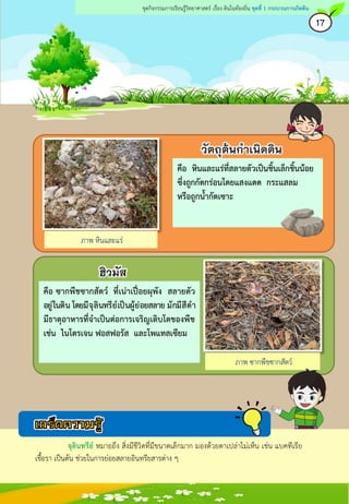 คือ ซากพืชซากสัตว์ ที่เน่าเปื่อยผุพัง สลายตัว
อยู่ในดิน โดยมีจุลินทรีย์เป็นผู้ย่อยสลาย มักมีสีดา
มีธาตุอาหารที่จาเป็นต่อการเจริญเติบโตของพืช
เช่น ไนโตรเจน ฟอสฟอรัส และโพแทสเซียม
คือ หินและแร่ที่สลายตัวเป็นชิ้นเล็กชิ้นน้อย
ซึ่งถูกกัดกร่อนโดยแสงแดด กระแสลม
หรือถูกน้ากัดเซาะ
วัตถุต้นกาเนิดดิน
ฮิวมัส
17
ชุดกิจกรรมการเรียนรู้วิทยาศาสตร์ เรื่อง ดินในท้องถิ่น ชุดที่ 1 กระบวนการเกิดดิน
ภาพ หินและแร่
ภาพ ซากพืชซากสัตว์
จุลินทรีย์ หมายถึง สิ่งมีชีวิตที่มีขนาดเล็กมาก มองด้วยตาเปล่าไม่เห็น เช่น แบคทีเรีย
เชื้อรา เป็นต้น ช่วยในการย่อยสลายอินทรียสารต่าง ๆ
 