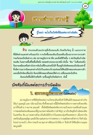 ดิน ประกอบด้วยแร่ธาตุที่เป็นของแข็ง อินทรียวัตถุ น้า และอากาศ
ที่มีสัดส่วนแตกต่างกันออกไป การเกิดขึ้นของดินเป็นผลสืบเนื่องมาจากการกระทา
ร่วมกันของปัจจัยต่างๆ เช่น สภาพภูมิอากาศ พืช และสิ่งมีชีวิตอื่น ๆ ต่อวัตถุต้นกาเนิด
ของดิน ในสภาพพื้นที่ใดพื้นที่หนึ่ง ตลอดช่วงระยะเวลาหนึ่ง ดังนั้น “ดิน” ในที่แห่งหนึ่ง
จึงอาจเหมือนหรือต่างไปจากดินในที่อีกแห่งหนึ่งได้ ขึ้นอยู่กับอิทธิพลของปัจจัยเหล่านี้
ซึ่งมีความมากน้อยแตกต่างกันไปในแต่ละบริเวณส่งผลให้ดินมีลักษณะเด่นเฉพาะตัว
และเมื่อปัจจัยเปลี่ยนไป ดินจะมีลักษณะหรือสมบัติต่างๆ เปลี่ยนแปลงไปด้วย
ดินจะเกิดขึ้นได้เร็วหรือช้า จะขึ้นอยู่กับปัจจัยต่างๆ ดังนี้
สภำพภูมิอำกำศที่มีอิทธิพลต่อกำรเกิดของดินหรือทำให้ดินมีลักษณะแตกต่ำงกัน
ได้แก่ อุณหภูมิ และ ปริมำณนำฝน ซึ่งทังสองอย่ำงนีมีอิทธิพลต่ออัตรำกำรสลำยตัวของหิน
แร่ ทังในด้ำน กำยภำพ และเคมี ทังยังมีอิทธิพลต่ออัตรำควำมเร็วของกำรเคลื่อนย้ำยและ
กำรสะสมใหม่ของหินและแร่ที่ถูกแปรสภำพโดยตัวกำรสำคัญๆ มำเป็นวัตถุต้นกำเนิดของดิน
ในเขตร้อน หิน แร่ จะสลำยตัวมำเป็นดินได้เร็วกว่ำในเขตอบอุ่นหรือเขตหนำว เนื่องจำกใน
เขตร้อนมีอุณหภูมิสูง และมีปริมำณฝนตกมำกว่ำเขตหนำว กำรผุพังสลำยตัวต่ำงๆ จึงดำเนิน
ไปอย่ำงรวดเร็ว เกิดกำรชะล้ำงธำตุอำหำรพืชออกไปได้มำก จึงมักทำให้ดินมีควำมอุดม
สมบูรณ์ต่ำ
(climate)
28
ชุดกิจกรรมการเรียนรู้วิทยาศาสตร์ เรื่อง ดินในท้องถิ่น ชุดที่ 1 กระบวนการเกิดดิน
รู้ไหมว่า อะไรเป็นปัจจัยที่มีผลต่อการกาเนิดดิน
 