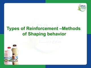 Shaping Reinforcement Example Dina farms' milk project American university in cairo | PPTX