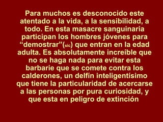 Para muchos es desconocido este atentado a la vida, a la sensibilidad, a todo. En esta masacre sanguinaria participan los hombres jóvenes para “demostrar”( sic ) que entran en la edad adulta. Es absolutamente increíble que no se haga nada para evitar esta barbarie que se comete contra los calderones, un delfín inteligentísimo que tiene la particularidad de acercarse a las personas por pura curiosidad, y que esta en peligro de extinción  
