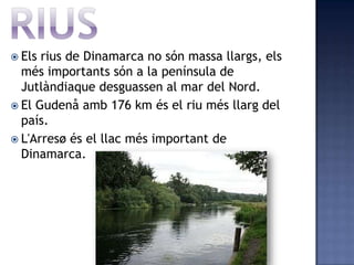  Els rius de Dinamarca no són massa llargs, els
  més importants són a la península de
  Jutlàndiaque desguassen al mar del Nord.
 El Gudenå amb 176 km és el riu més llarg del
  país.
 L'Arresø és el llac més important de
  Dinamarca.
 