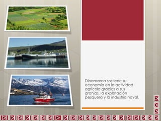 Dinamarca sostiene su 
economía en la actividad 
agrícola gracias a sus 
granjas, la explotación 
pesquera y la industria naval. 
 
