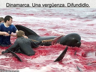 Dinamarca. Una vergüenza. Difundidlo. 