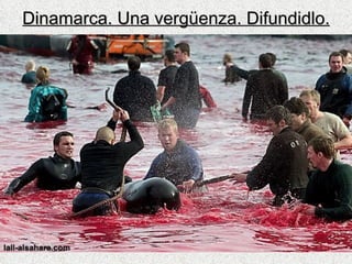 Dinamarca. Una vergüenza. Difundidlo. 