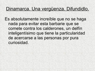 Dinamarca. Una vergüenza. Difundidlo. Es absolutamente increíble que no se haga nada para evitar esta barbarie que se comete contra los calderones, un delfín inteligentísimo que tiene la particularidad de acercarse a las personas por pura curiosidad. 