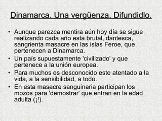 Dinamarca. Una vergüenza. Difundidlo. Aunque parezca mentira aún hoy día se sigue realizando cada año esta brutal, dantesca, sangrienta masacre en las islas Feroe, que pertenecen a Dinamarca. Un país supuestamente 'civilizado' y que pertenece a la unión europea. Para muchos es desconocido este atentado a la vida, a la sensibilidad, a todo. En esta masacre sanguinaria participan los mozos para 'demostrar' que entran en la edad adulta (¡!). 