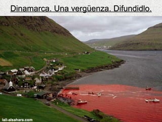 Dinamarca. Una vergüenza. Difundidlo. 