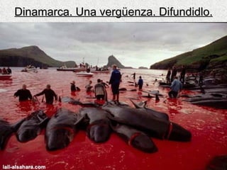 Dinamarca. Una vergüenza. Difundidlo. 