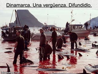 Dinamarca. Una vergüenza. Difundidlo. 