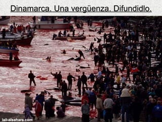 Dinamarca. Una vergüenza. Difundidlo. 