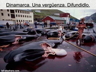 Dinamarca. Una vergüenza. Difundidlo. 