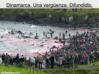 Dinamarca. Una vergüenza. Difundidlo. 