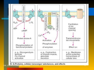 DR. FAUSTO ZARUMA TORREZ 