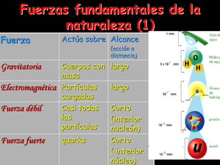 Fuerzas fundamentales de la
            naturaleza (1)
Fuerza          Actúa sobre Alcance
                               (acción a
                               distancia)
Gravitatoria     Cuerpos con   largo
                 masa
Electromagnética Partículas    largo
                 cargadas
Fuerza débil     Casi todas    Corto
                 las           (interior
                 partículas    nucleón)
Fuerza fuerte   quarks         Corto
                               ( interior
                               núcleo)
 