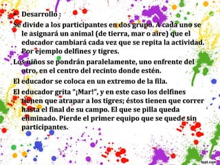 • Desarrollo :
Se divide a los participantes en dos grupo. A cada uno se
le asignará un animal (de tierra, mar o aire) que el
educador cambiará cada vez que se repita la actividad.
Por ejemplo delfines y tigres.
Los niños se pondrán paralelamente, uno enfrente del
otro, en el centro del recinto donde estén.
El educador se coloca en un extremo de la fila.
El educador grita “¡Mar!”, y en este caso los delfines
tienen que atrapar a los tigres; éstos tienen que correr
hasta el final de su campo. El que se pilla queda
eliminado. Pierde el primer equipo que se quede sin
participantes.

 