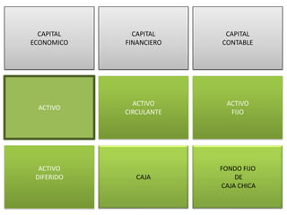 CAPITAL     CAPITAL     CAPITAL
ECONOMICO   FINANCIERO   CONTABLE




              ACTIVO      ACTIVO
 ACTIVO
            CIRCULANTE     FIJO




  ACTIVO                 FONDO FIJO
 DIFERIDO      CAJA          DE
                         CAJA CHICA
 