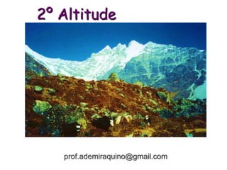 2º Altitude
prof.ademiraquino@gmail.com
 