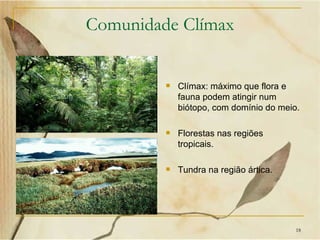 Comunidade Clímax


            Clímax: máximo que flora e
             fauna podem atingir num
             biótopo, com domínio do meio.

            Florestas nas regiões
             tropicais.

            Tundra na região ártica.




                                         18
 