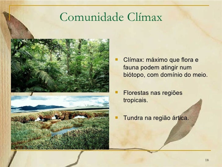O Que Significa A Expressao Comunidade Climax