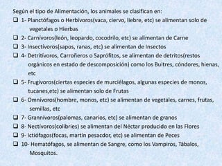 Según el tipo de Alimentación, los animales se clasifican en: 
 1- Planctófagos o Herbívoros(vaca, ciervo, liebre, etc) se alimentan solo de 
vegetales o Hierbas 
 2- Carnívoros(león, leopardo, cocodrilo, etc) se alimentan de Carne 
 3- Insectívoros(sapos, ranas, etc) se alimentan de Insectos 
 4- Detritívoros, Carroñeros o Saprófitos, se alimentan de detritos(restos 
orgánicos en estado de descomposición) como los Buitres, cóndores, hienas, 
etc 
 5- Frugívoros(ciertas especies de murciélagos, algunas especies de monos, 
tucanes,etc) se alimentan solo de Frutas 
 6- Omnívoros(hombre, monos, etc) se alimentan de vegetales, carnes, frutas, 
semillas, etc 
 7- Grannívoros(palomas, canarios, etc) se alimentan de granos 
 8- Nectívoros(colibries) se alimentan del Néctar producido en las Flores 
 9- Ictiófagos(focas, martín pesacdor, etc) se alimentan de Peces 
 10- Hematófagos, se alimentan de Sangre, como los Vampiros, Tábalos, 
Mosquitos. 
 