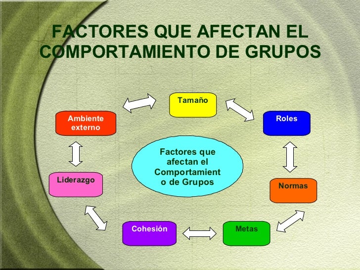 Resultado de imagen para comportamiento de grupos y equipos de trabajo