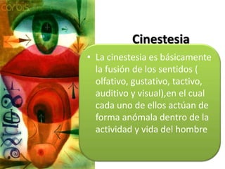 Dinamica De La Comunicacion 2 Asertividad.Ppt