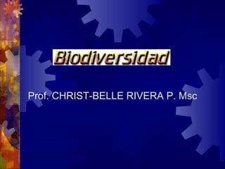 Prof. CHRIST-BELLE RIVERA P. Msc 