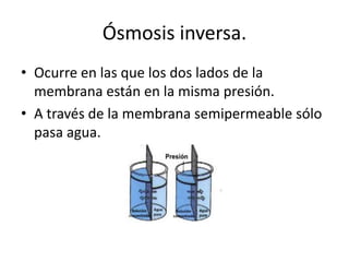 Ósmosis inversa.
• Ocurre en las que los dos lados de la
  membrana están en la misma presión.
• A través de la membrana semipermeable sólo
  pasa agua.
 
