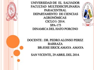 UNIVERSIDAD DE EL SALVADOR
FACULTAD MULTIDISCIPLINARIA
PARACENTRAL
DEPARTAMENTO DE CIENCIAS
AGRONÓMICAS
CICLO I- 2014.
SPA-173
DINAMICA DEL HATO PORCINO
DOCENTE : DR. PEDRO ALONSO PEREZ
BARRAZA
BR:JOSE ERICK AMAYA AMAYA
SAN VICENTE, 29 ABRIL DEL 2014.
 