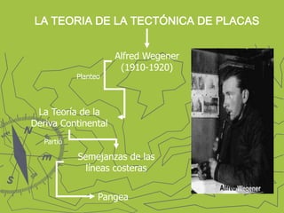 LA TEORIA DE LA TECTÓNICA DE PLACASAlfred Wegener(1910-1920)PlanteoLa Teoría de la Deriva ContinentalPartióSemejanzas de las líneas costerasPangea
