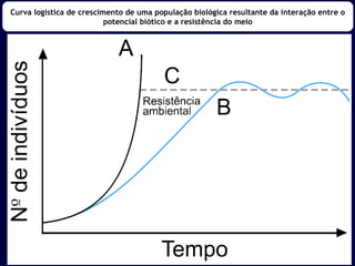 Curva logística de crescimento de uma população biológica resultante da interação entre o 
potencial biótico e a resistência do meio 
 