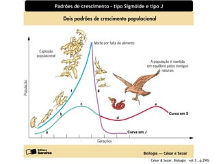 Padrões de crescimento – tipo Sigmóide e tipo J 
César & Sezar, Biologia – vol.3 , p.290) 
 
