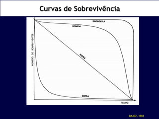 CCuurrvvaass ddee SSoobbrreevviivvêênncciiaa 
DAJOZ, 1983 
 