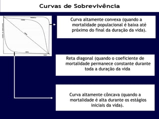 Curva altamente ccoonnvveexxaa ((qquuaannddoo aa 
mmoorrttaalliiddaaddee ppooppuullaacciioonnaall éé bbaaiixxaa aattéé 
pprróóxxiimmoo ddoo ffiinnaall ddaa dduurraaççããoo ddaa vviiddaa)).. 
RReettaa ddiiaaggoonnaall ((qquuaannddoo oo ccooeeffiicciieennttee ddee 
mmoorrttaalliiddaaddee ppeerrmmaanneeccee ccoonnssttaannttee dduurraannttee 
ttooddaa aa dduurraaççããoo ddaa vviiddaa 
CCuurrvvaa aallttaammeennttee ccôônnccaavvaa ((qquuaannddoo aa 
mmoorrttaalliiddaaddee éé aallttaa dduurraannttee ooss eessttáággiiooss 
iinniicciiaaiiss ddaa vviiddaa)).. 
