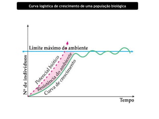 Curva logística de crescimento de uma população biológica 
 