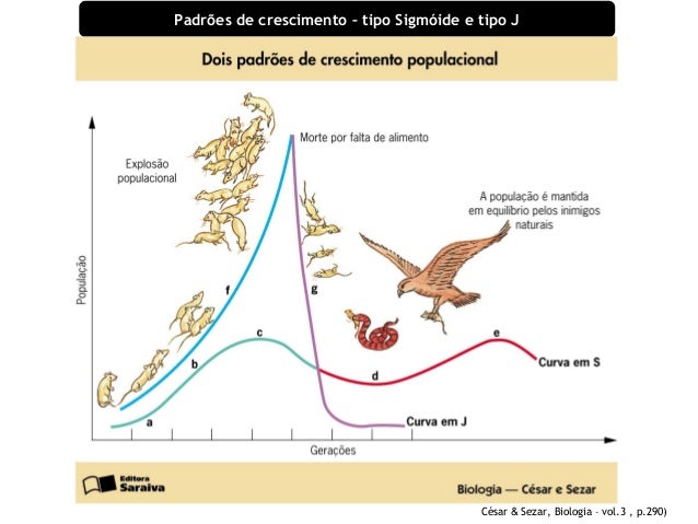 Dinâmica de Populações