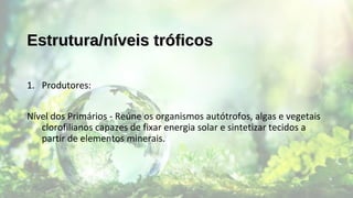 Estrutura/níveis tróficosEstrutura/níveis tróficos
1. Produtores:
Nível dos Primários - Reúne os organismos autótrofos, algas e vegetais
clorofilianos capazes de fixar energia solar e sintetizar tecidos a
partir de elementos minerais.
 