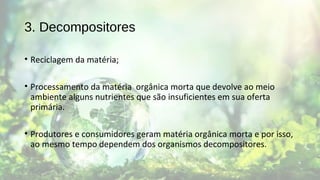 3. Decompositores
• Reciclagem da matéria;
• Processamento da matéria orgânica morta que devolve ao meio
ambiente alguns nutrientes que são insuficientes em sua oferta
primária.
• Produtores e consumidores geram matéria orgânica morta e por isso,
ao mesmo tempo dependem dos organismos decompositores.
 