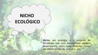 NICHO
ECOLÓGICO
Nicho, em ecologia, é o conjunto de
atividades que uma determinada espécie
desempenha, como suas refeições, como
ela obtém abrigo, se reproduz, etc.
 