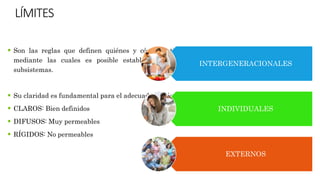 LÍMITES
 Son las reglas que definen quiénes y cómo participan en las transacciones interpersonales
mediante las cuales es posible establecer una diferenciación entre los individuos y los
subsistemas.
 Su claridad es fundamental para el adecuado funcionamiento de la familia.
 CLAROS: Bien definidos
 DIFUSOS: Muy permeables
 RÍGIDOS: No permeables
INTERGENERACIONALES
INDIVIDUALES
EXTERNOS
 