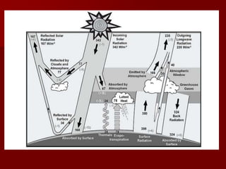 El aire absorbe un 17,5% es decir 60 W/m 2 . 