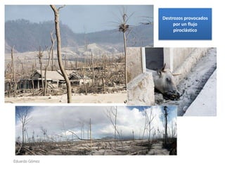 Destrozos provocados
por un flujo
piroclástico

Eduardo Gómez

 